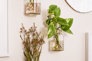 moccona jar inspiration mounted vases teaser