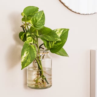 moccona jar inspiration mounted vases